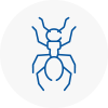 Ant Removals In Barnstaple