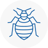 Bed Bug Extermination In Barnstaple