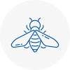 Bee Nest Removal Barnstaple