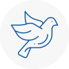 Bird Prevention Barnstaple