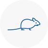 Mice Exterminators In Barnstaple