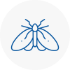 Moth Control Specialists In Barnstaple
