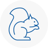 Barnstaple Rodent Removals