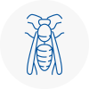 Barnstaple Wasp Nest Removal